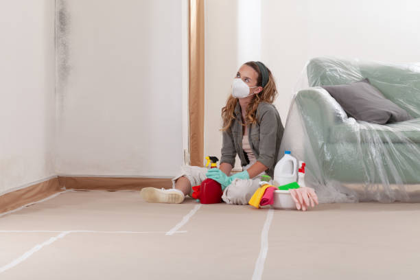 Reliable Crawl Space Mold Removal contractor in Henderson, CO by WQB Mold Removal